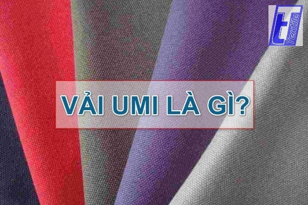 Chất vải umi là gì?
