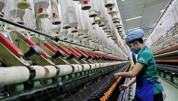 Chi số sợi là gì? Giải thích các thuật ngữ denier, tex, dtex, ne