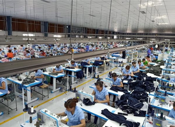 Bài viết tổng quan ngành dệt may Việt Nam 2025