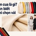 vải chân cua là vải gì