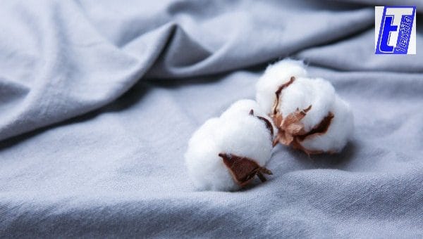 Vải cotton dệt kim là gì? Ưu và nhược điểm